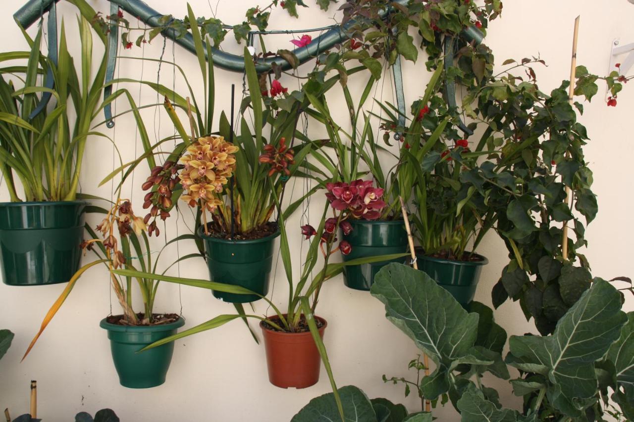 Appartamento House Of Orchids With Patio Vila Real de Santo António Esterno foto
